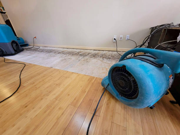 Professional Flood Damage Cleanup technician working in Waterloo, WI
